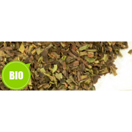 Thé Darjeeling BOP See Yok - Greender's Tea Bio