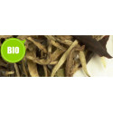 Thé Blanc Yunnan Silver Moonlight - Greender's Tea Bio