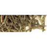 Thé vert de Chine Li Xi Iang - Greender's Tea