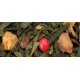 Thé vert Pomme Cannelle - Greender's Tea