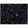 Thé noir aux 3 fruits noirs - Compagnie & Co
