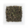 Thé vert à la menthe verte - Greender's Tea