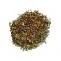 Rooibos* vert Pêche Abricot - Greender's Tea