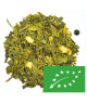 Thé vert Curcuma Gingembre - Greender's Tea Bio