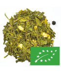 Thé vert Curcuma Gingembre - Greender's Tea Bio