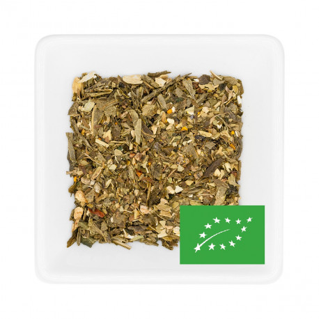 Infusion Boost Bio - Greender's Tea