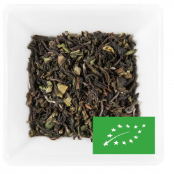 Thé Darjeeling Singell BIO First Flush 2021, récolte de Printemps