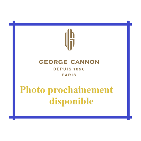 Thé noir Petrouchka 7 agrumes Bio - George Cannon