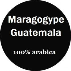 Café Maragogype Guatemala