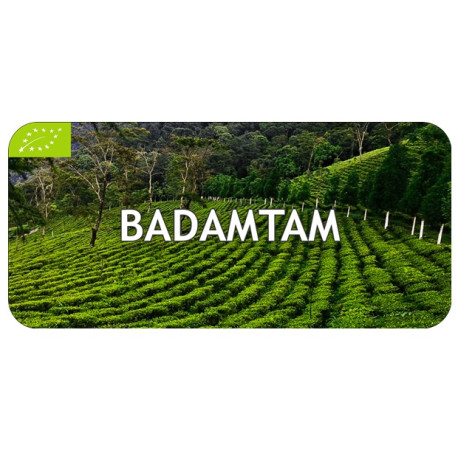 Thé Darjeeling Badamtam First Flush 2025