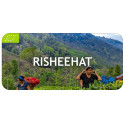 Thé Darjeeling Risheehat First Flush 2024, récolte de Printemps