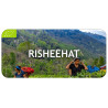 Thé Darjeeling Risheehat First Flush 2025, récolte de Printemps