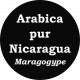 Café Nicaragua Maragogype