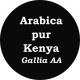 Café Kenya plantation Gallia (AA)