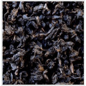 Thé Oolong Balade en Bretagne - Compagnie & Co