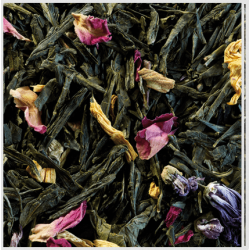 Thé Sencha Printemps