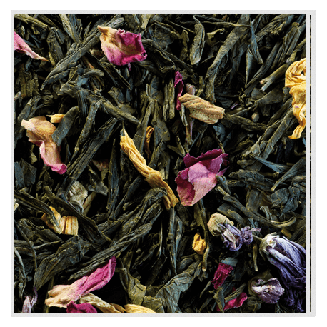 Thé Sencha Printemps