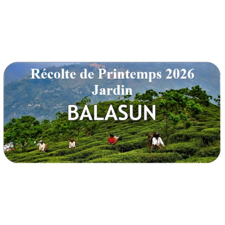 Thé Darjeeling Balasun First Flush 2026