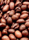 Grains de café Caracoli