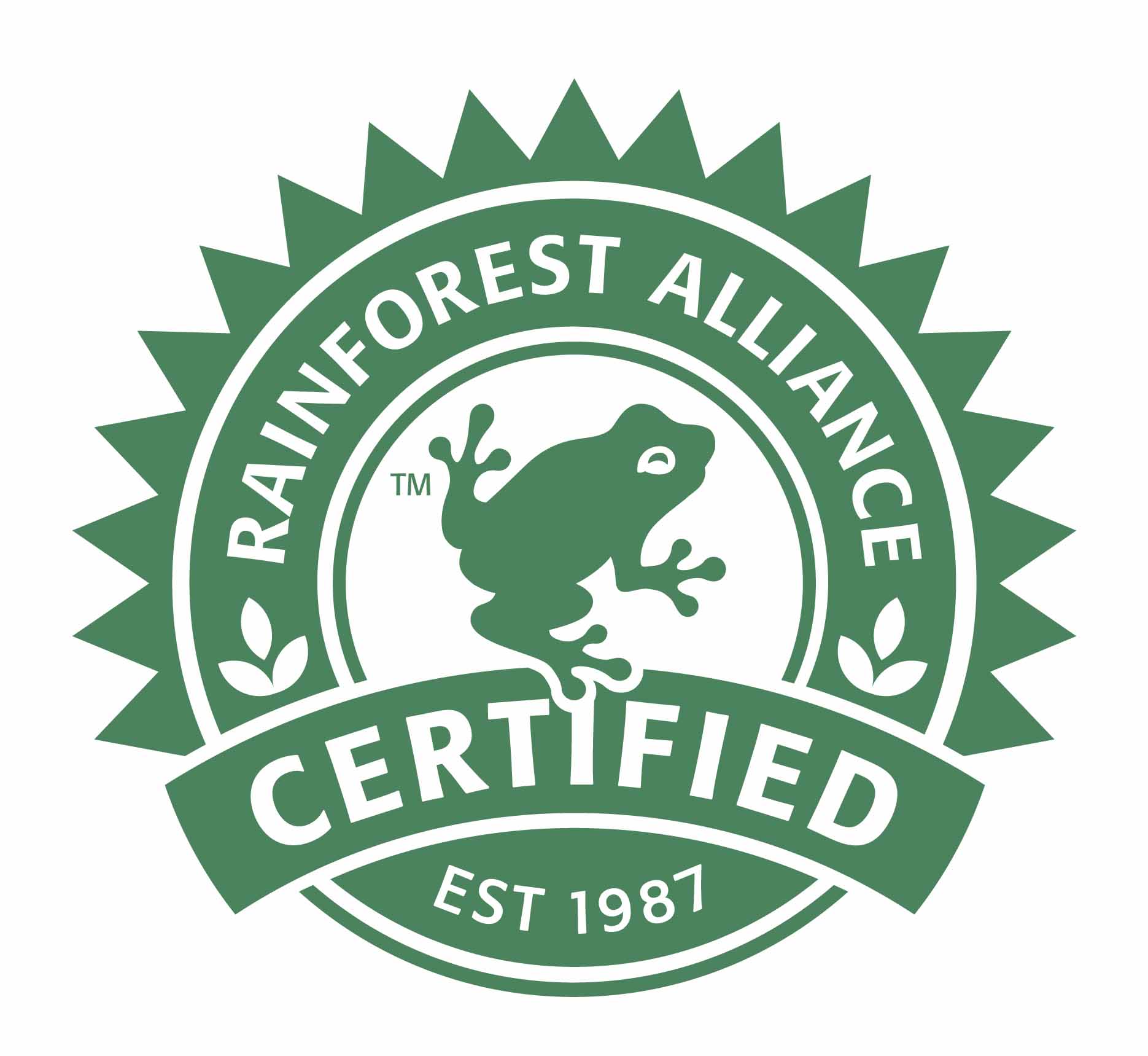 logo Rainforest