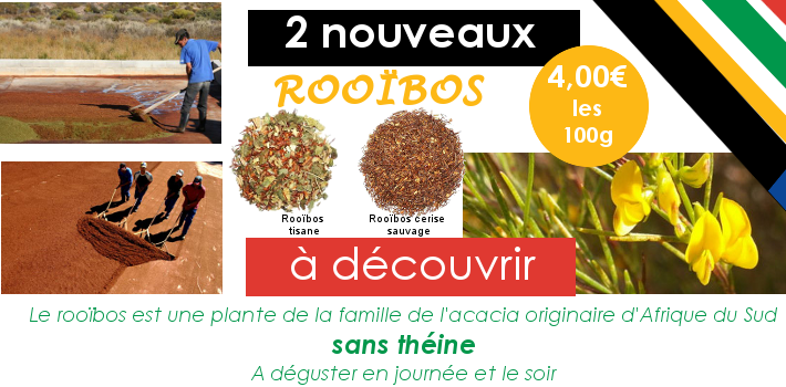 Rooïbos tisane et Rooïbos cerise sauvage