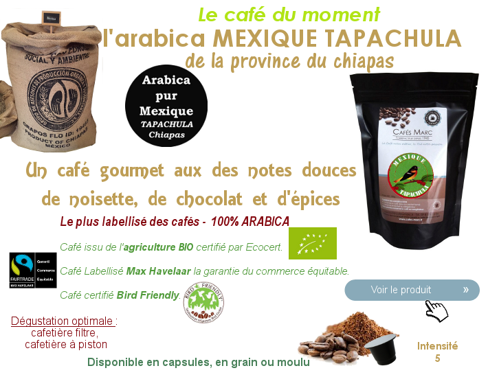 Le café du Mexique Tapachula Chiapas, un café d'excellence